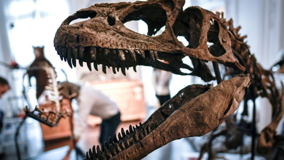 حجم الشظايا التي سقطت على الأرض قد تكون تسببت بفناء الديناصورات