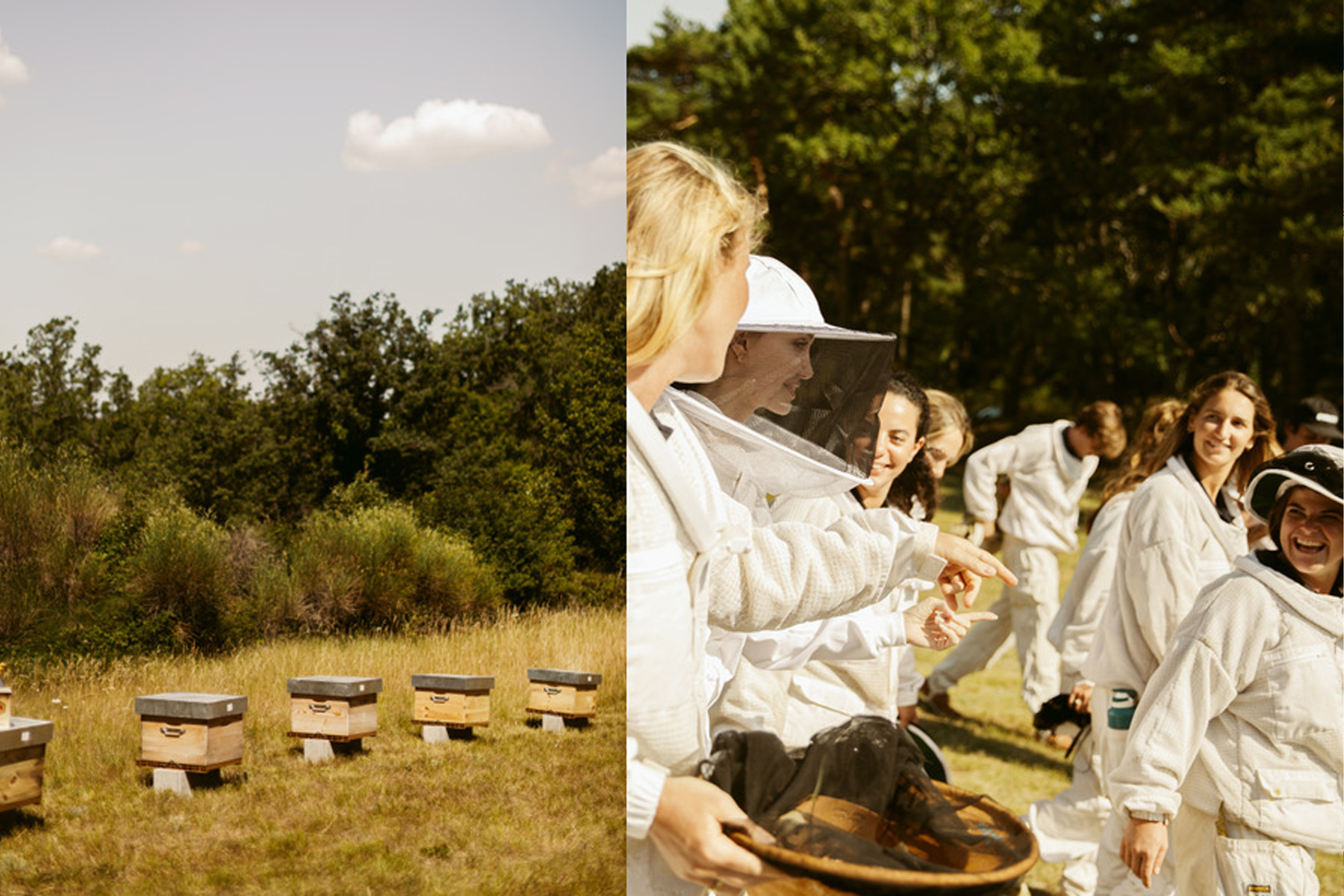 غيرلان ، أنجلينا جولي واليونسكو: نساء من أجل النحل
