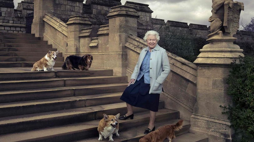 ملكة بريطانيا وكلابها على احد ادراج قلعة وندسور