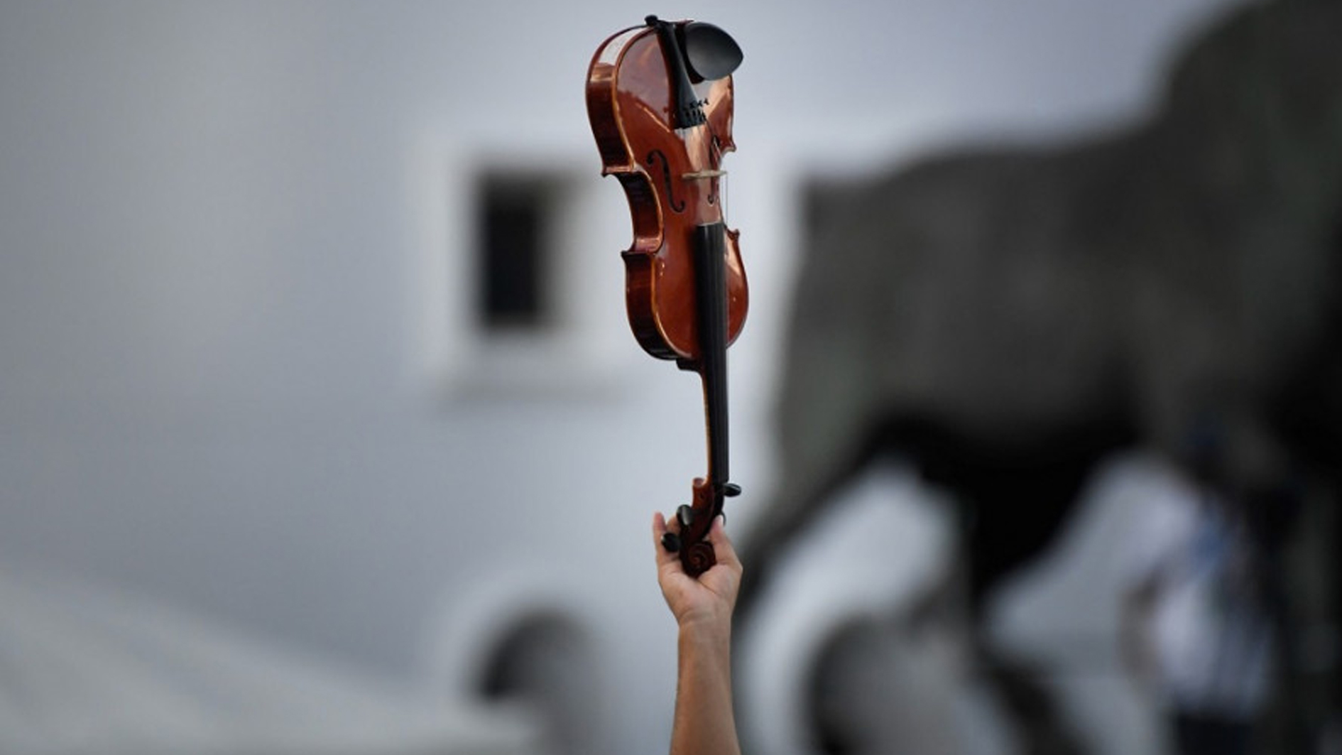 بيع كمان "ستراديفاريوس" في مقابل 15,34 مليون دولار