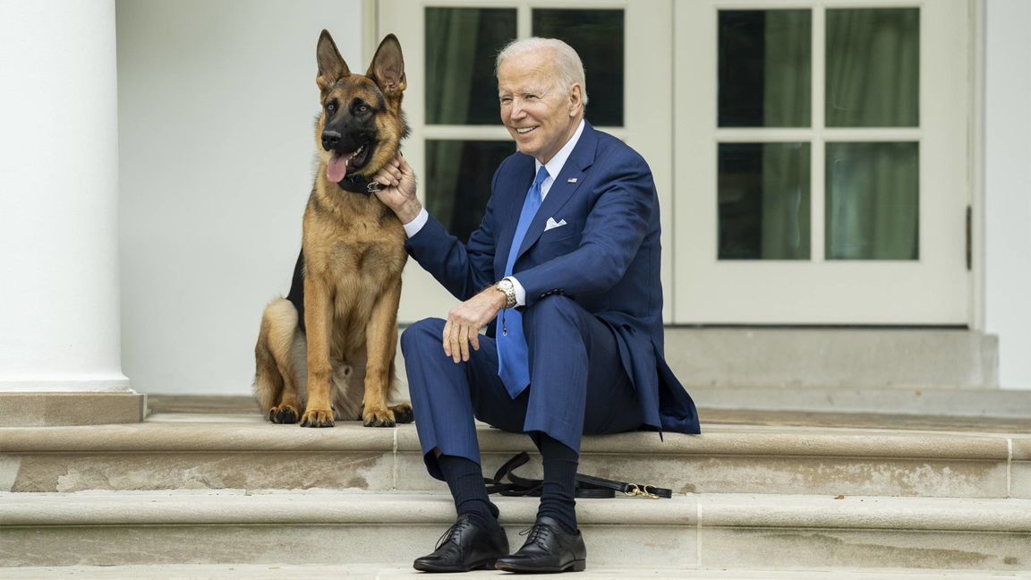 كوماندر الكلب الخاص للرئيس جو بايدن (إنستغرام)