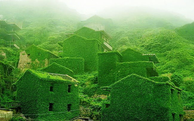 صورة من تويتر لقرية الصيادين في الصين والنباتات تكتسح جدران منازلها
