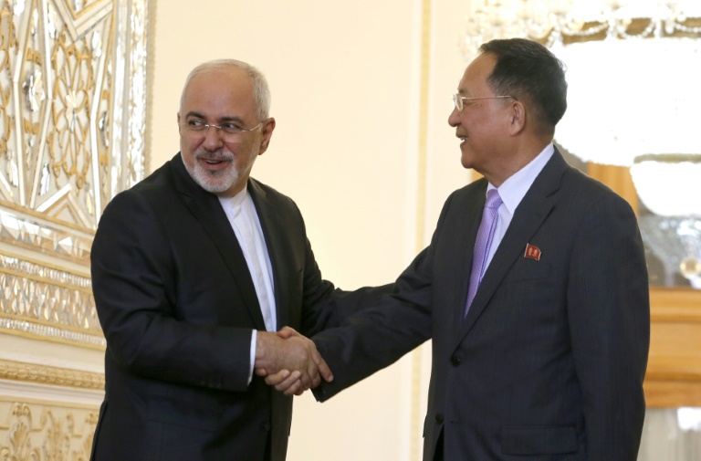 وزير خارجية كوريا الشمالية يجري محادثات في إيران