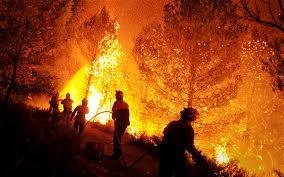فرق الإطفاء الإسبانية تسيطر على حريق أتى على 3200 هكتار