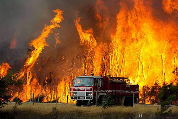 إعلان الطوارئ في مقاطعة بريطانية بكندا لمكافحة حرائق الغابات