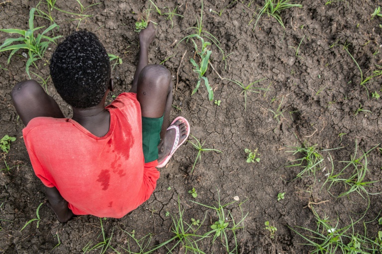 طفل سوداني كان يقاتل في صفوف مجموعة مسلحة سابقا يشارك في درس زراعة في مدرسة يتعلم فيها عن البذور والنباتات في بيبور