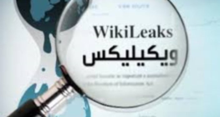 النروج تحقق في اختفاء شريك لمؤسس ويكيليكس