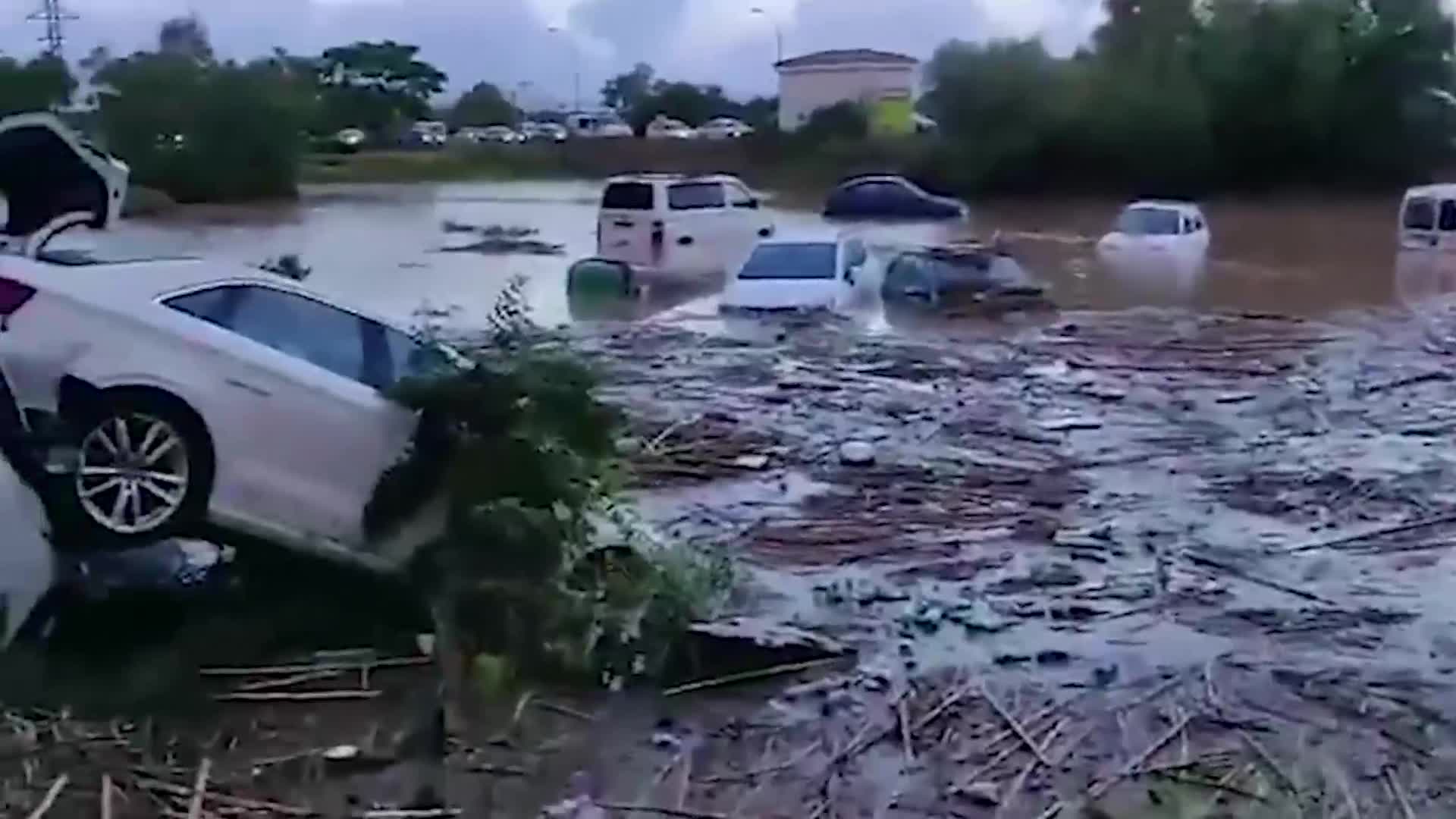 تسعة قتلى جراء أمطار غزيرة في جزيرة مايوركا الاسبانية