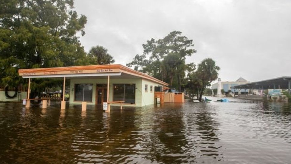 الإعصار مايكل يضرب فلوريدا برياح تصل سرعتها إلى 250 كيلومتر في الساعة