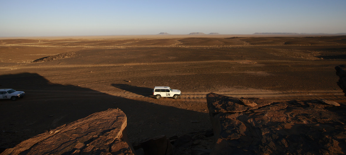 سيارات تابعة لبعثة (مينورسو) في الصحراء 