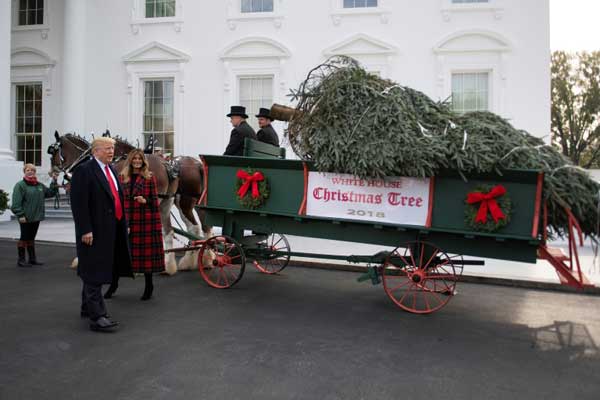  الرئيس الأميركي دونالد ترمب والسيدة الأولى ميلانيا في البيت الأبيض في واشنطن بتاريخ 19 نوفمبر 2018