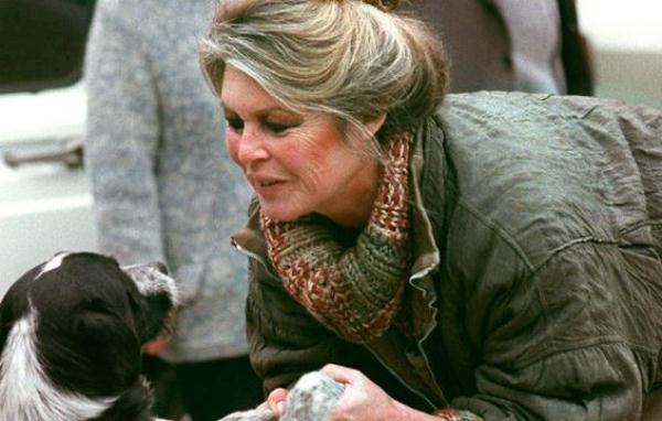 بريجيت باردو تناشد ماكرون اتخاذ اجراءات لحماية الحيوانات