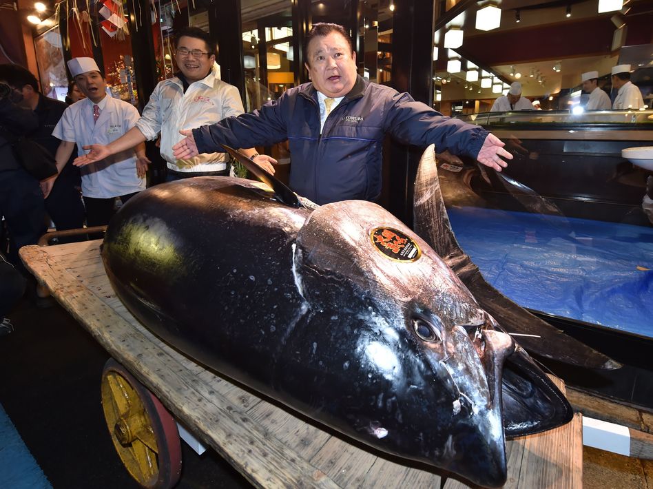 سعر قياسي لسمكة تونة بيعت بـ3,1 ملايين دولار في اليابان