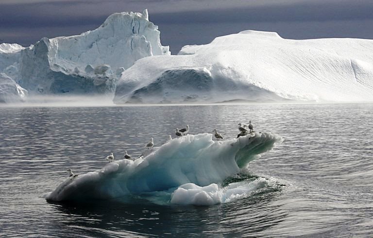 القطب الجنوبي يفقد جليده بوتائر متسارعة