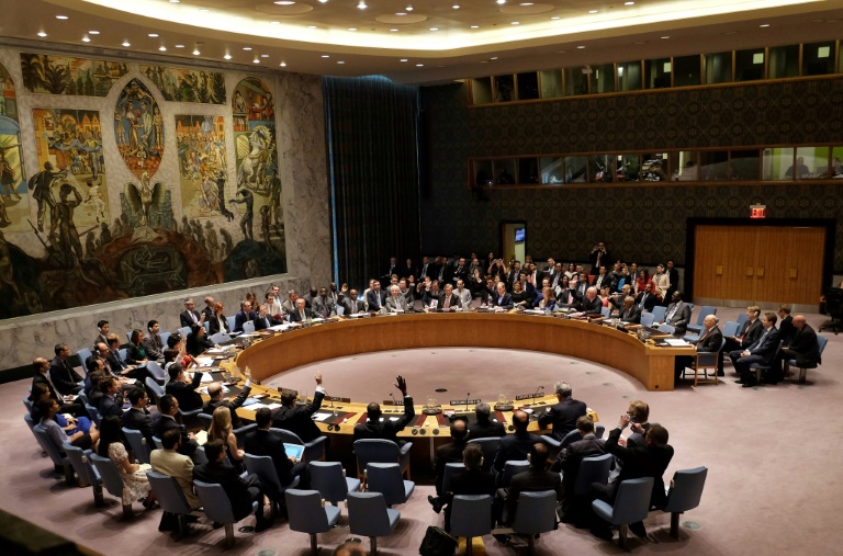  مجلس الأمن يوافق على تعيين الدنماركي لوليسغارد رئيسًا لبعثة المراقبين الأممين باليمن