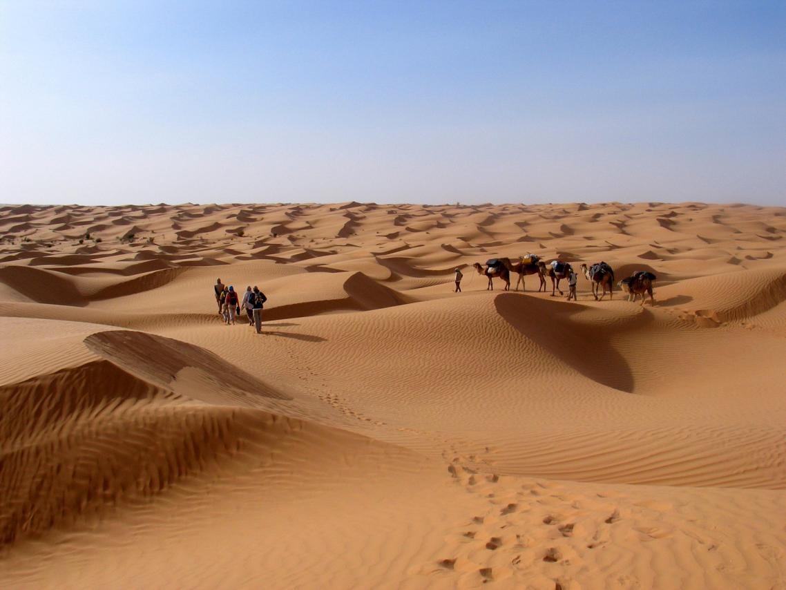 سياح غربيون خلال جولة في صحراء توزر جنوب تونس - أرشيفية