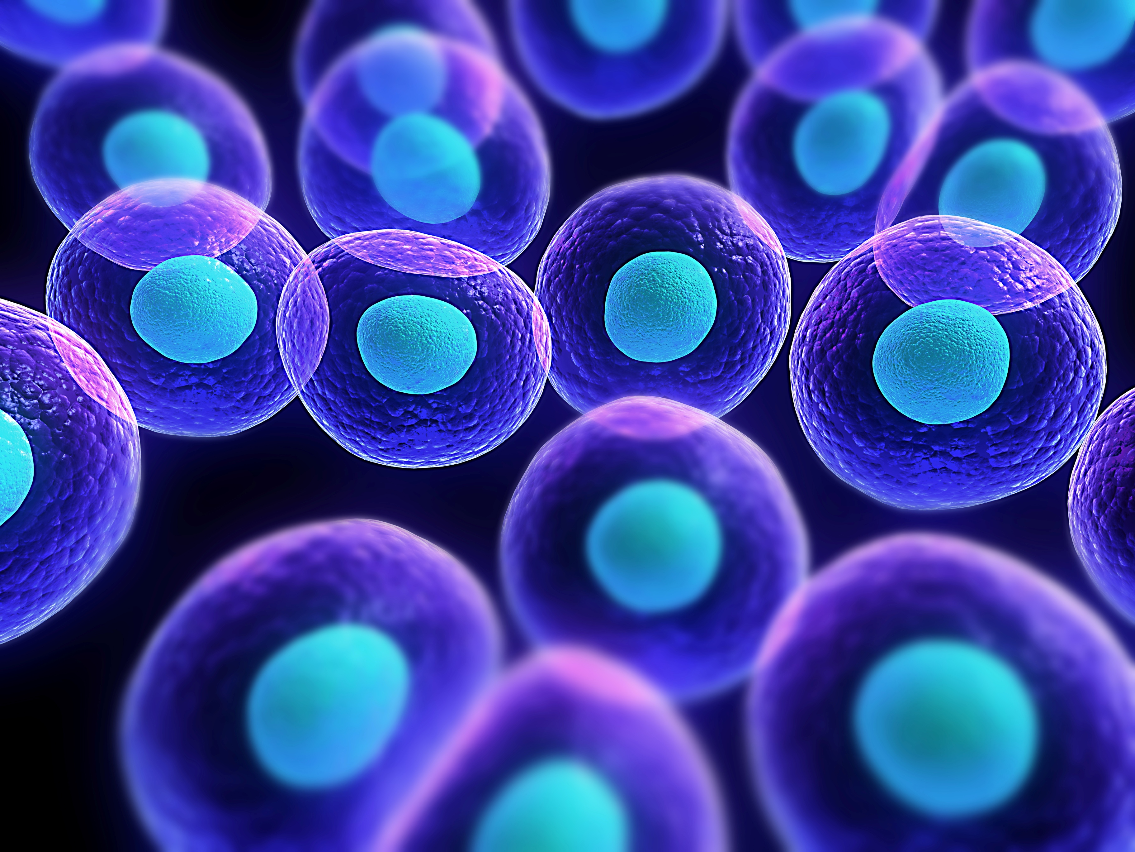 باحثون يأملون بوقف العمليات التي تؤدي الى موت الخلايا