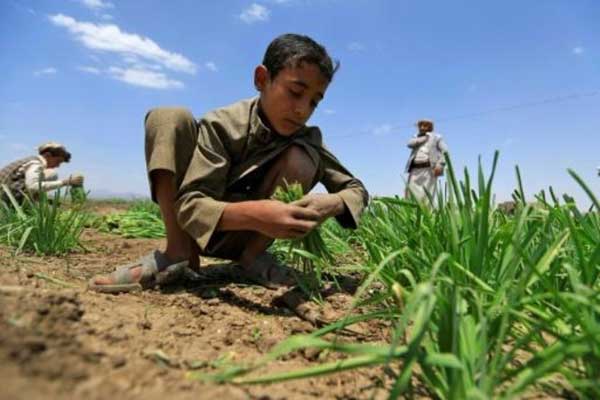 عانت أفغانستان والعراق وسوريا موجات جفاف شديدة في العام 2018 أثرت بشدة على الإنتاج الزراعي