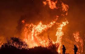 مصرع 24 شخصًا جراء حريق غابة في جنوب غرب الصين