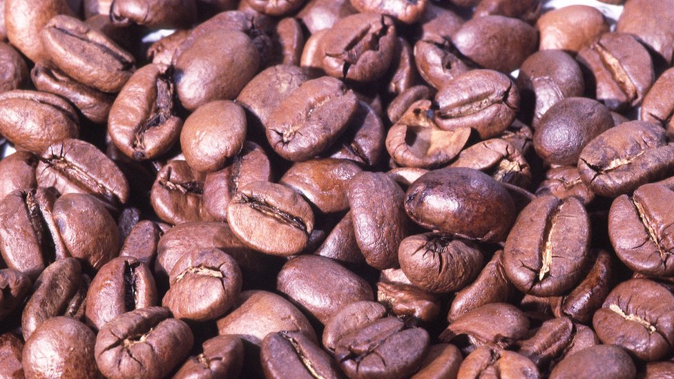 هل القهوة ضرورية للبقاء على قيد الحياة؟