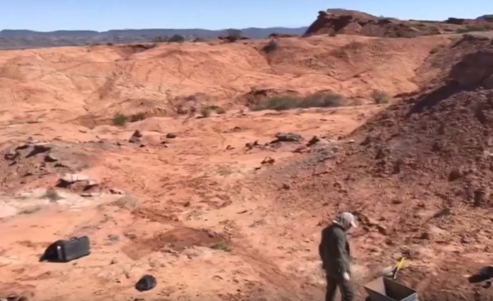 اكتشاف مقبرة ديناصورات تعود إلى 220 مليون سنة في الأرجنتين