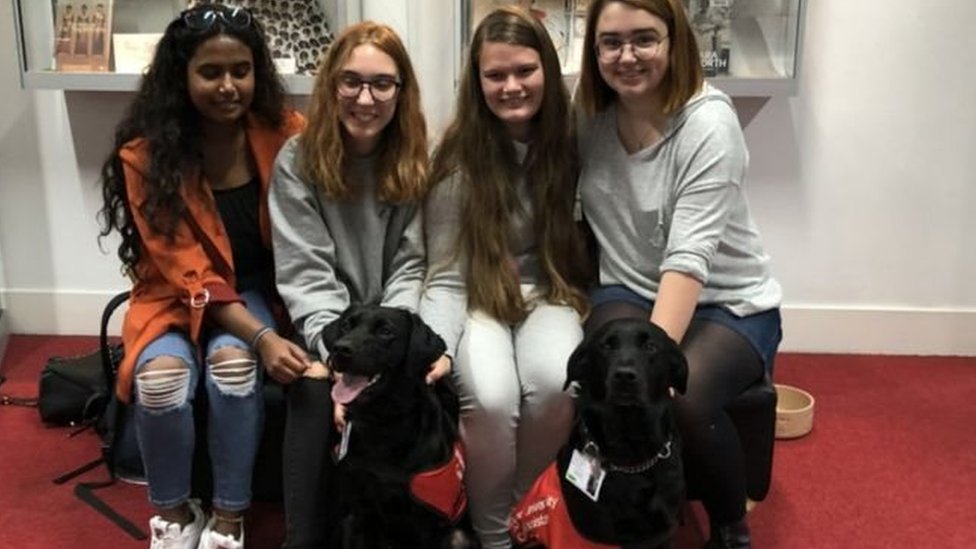 كيف استعانت جامعة في بريطانيا بمجموعة من الكلاب لتخفيف توتر الطلاب في فترة الامتحانات؟