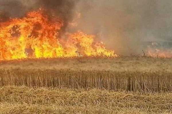 حرائق مزارع الحنطة في عدد من مناطق العراق