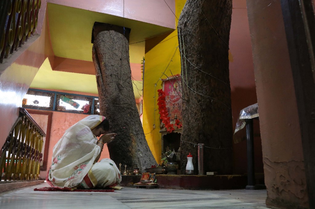 شجرة عمرها 150 عاما تتوسط مبنى من أربعة طوابق في الهند