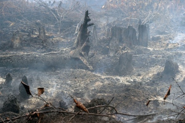 30 قتيلا على الأقل في حريق في مستودع لعلب الكبريت في إندونيسيا