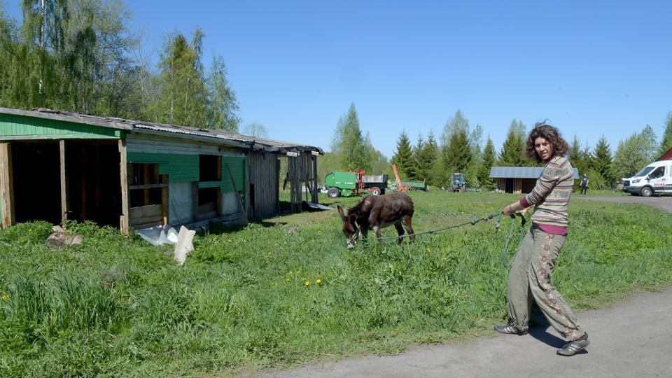 منشأة زراعية تتصدّى لتهميش ذوي الإعاقة الذهنية في روسيا