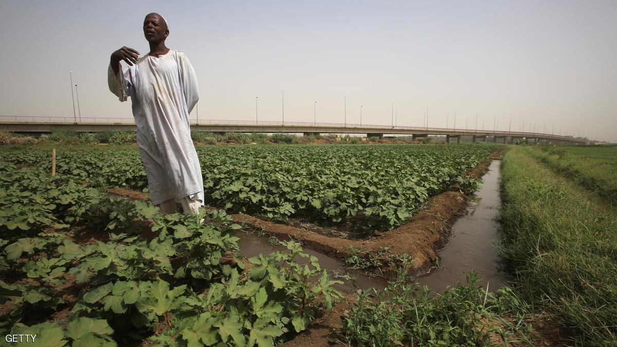 مزارع سوداني