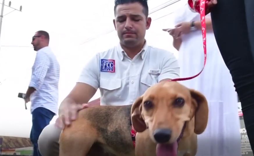 أول محاكمة في أميركا اللاتينية في قضية سوء معاملة كلب