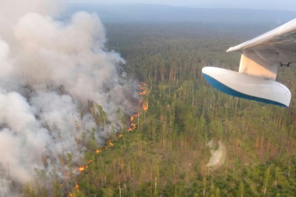 صورة ملتقطة من الجو في 30 يوليو لحرق غابة في سيبيريا وزعتها سلطة منطقة كراسنويارسك