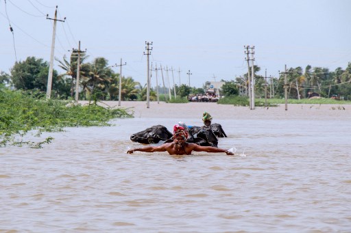 عدد ضحايا الأمطار الموسمية في الهند يزيد عن 200