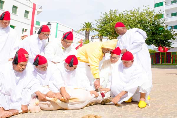  العاهل المغربي يذبح أضحية العيد