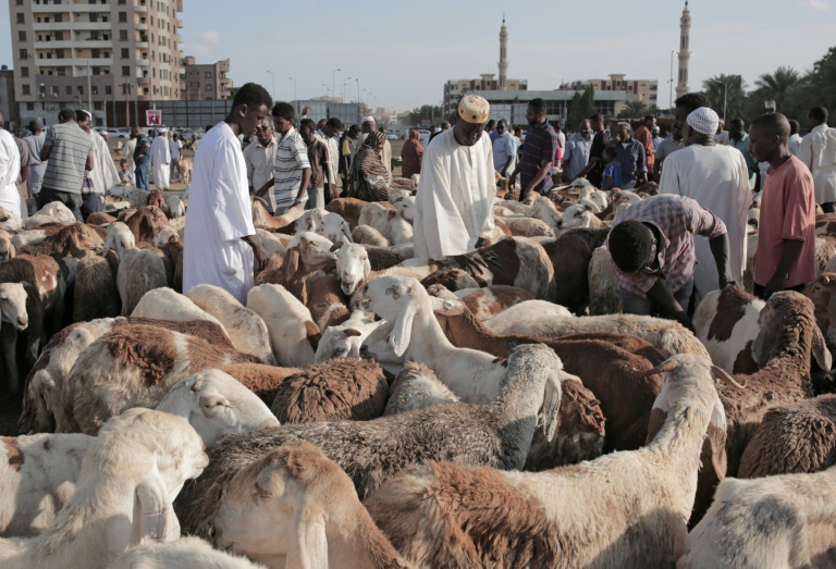 السودانيون يشترون الضاحي في سوق في الخرطوم في 11 آب/اغسطس 2019