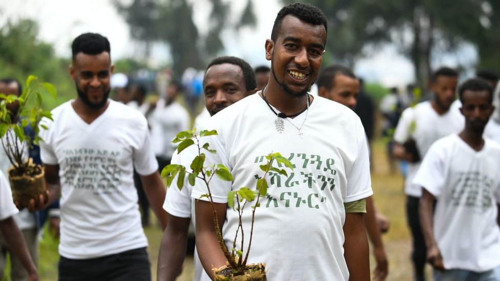 هل زرعت إثيوبيا 350 مليون شجرة في يوم واحد حقا؟