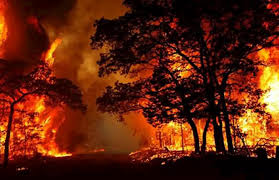 احتواء الحريق في جزيرة كناريا الكبرى في أرخبيل الكناري الإسباني