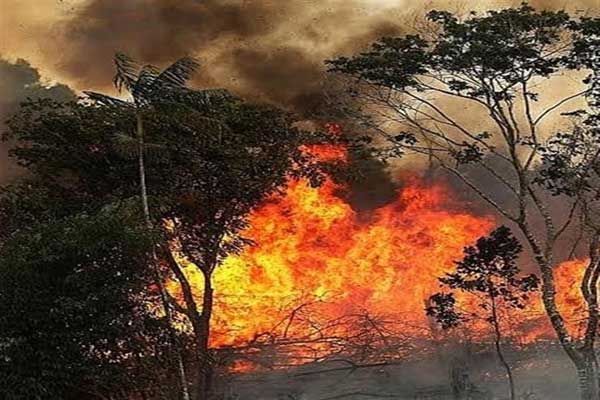 الرئيس البرازيلي: حرائق الأمازون لا تستوجب عقوبات على بلادنا