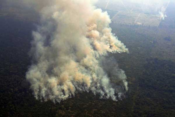 صورة جوية في ولاية روندونيا البرازيلية تظهر الحرائق في غابات الأمازون بتاريخ 23 أغسطس 2019