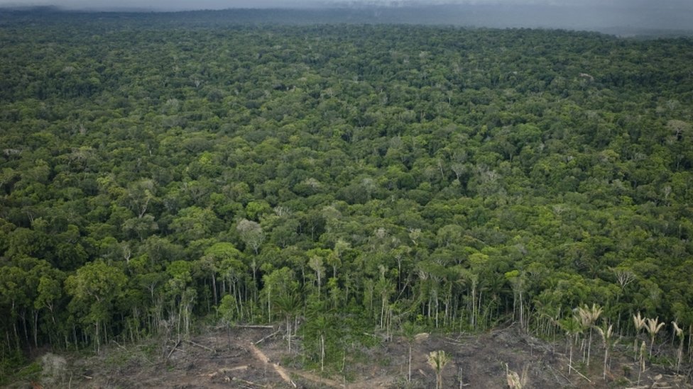 وسط اتهامه بالتسبب في إحراق الغابات، الرئيس البرازيلي: 