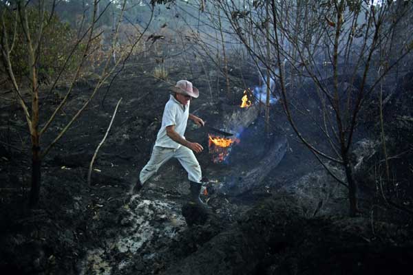 المزارع البرازيلي إيليو لومباردو دو سانتوس في منطقة احترقت في غابة الأمازون قرب بورتو فيلهو في ولاية روندونيا بتاريخ 26 أغسطس 2019
