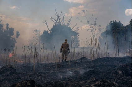 الحرائق ما زالت مستعرة في غابات الأمازون