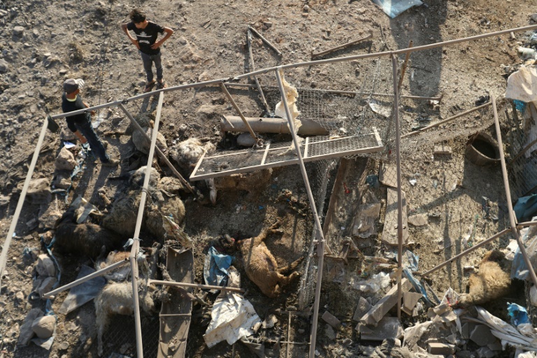 مقتل 6 مدنيين في قصف على محافظة إدلب