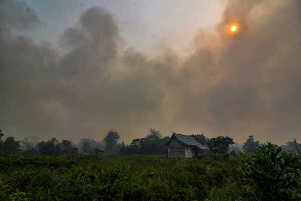 الدخان الكثيف من حرائق الغابات يغطي الشمس فوق قرية بيكانبارو في إقليم رايو في 18 سبتمبر 2019