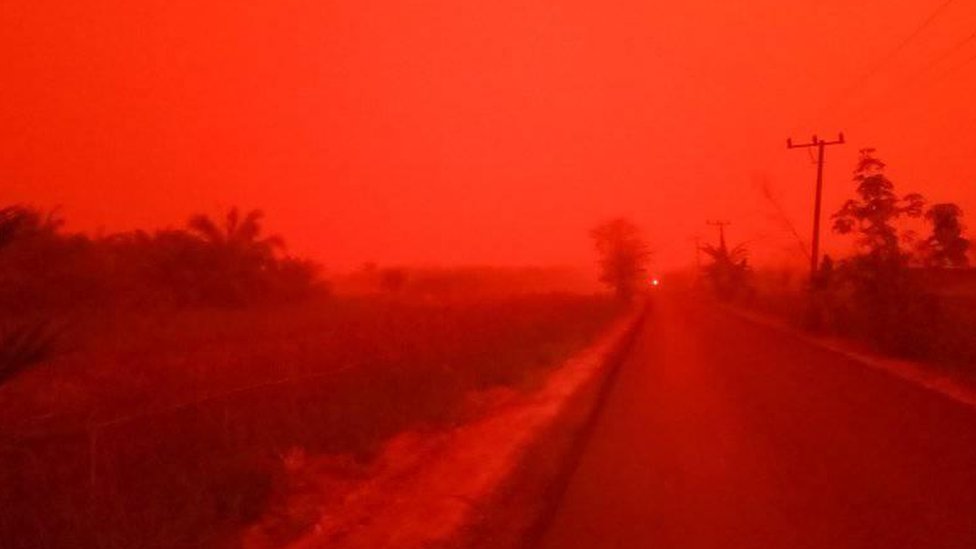 حرائق الغابات في إندونيسيا تحيل لون السماء إلى الأحمر القاني
