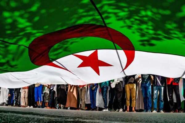 ما هو موقع الإسلاميين الجزائريين عشية الانتخابات الرئاسية؟