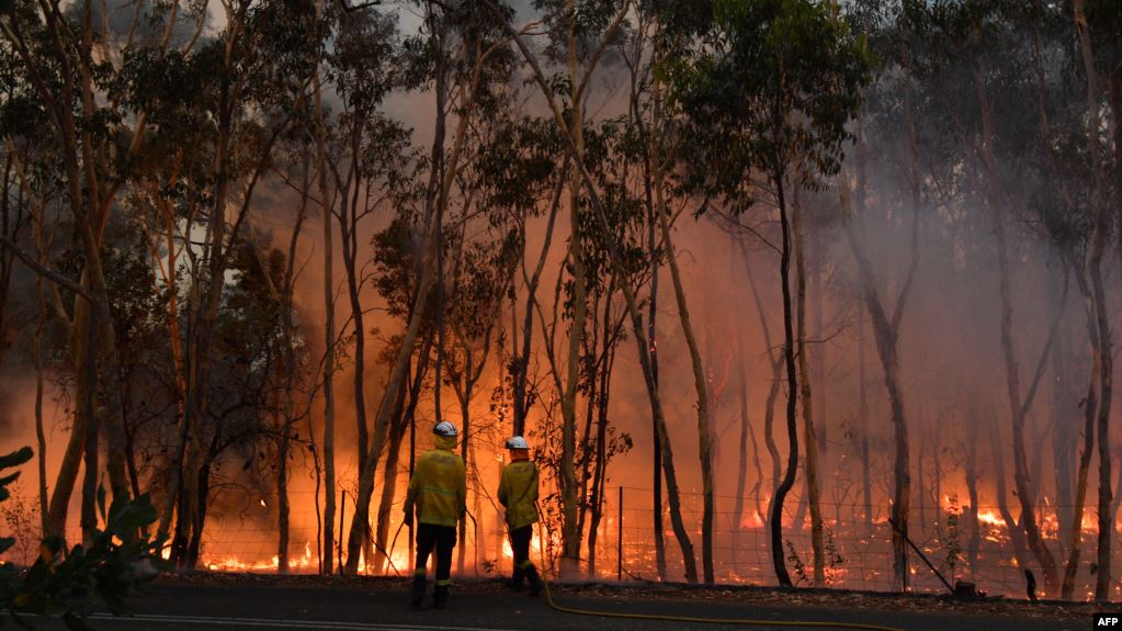 أستراليا تجلي مناطق من العاصمة كانبيرا بعد نشوب حريق غابات