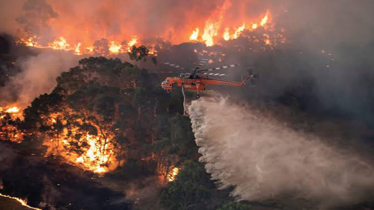 إعلان حالة الطوارئ في العاصمة الأسترالية بسبب حرائق الغابات