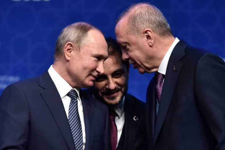 أزمة إدلب تختبر العلاقة بين إردوغان وبوتين